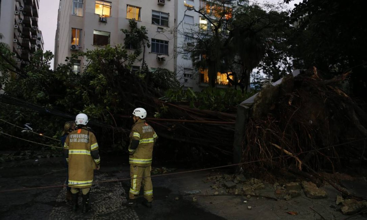 Árvore cai e interdita a Rua São Clemente, em Botafogo Foto: Roberto Moreyra / Agência O Globo
