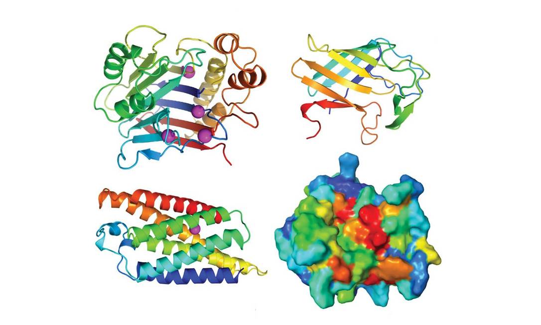 Imagens digitais de proteínas que tiveram sua estrutura descoberta pelo projeto RoseTTAfold Foto: Minkyung Baek/AAAS