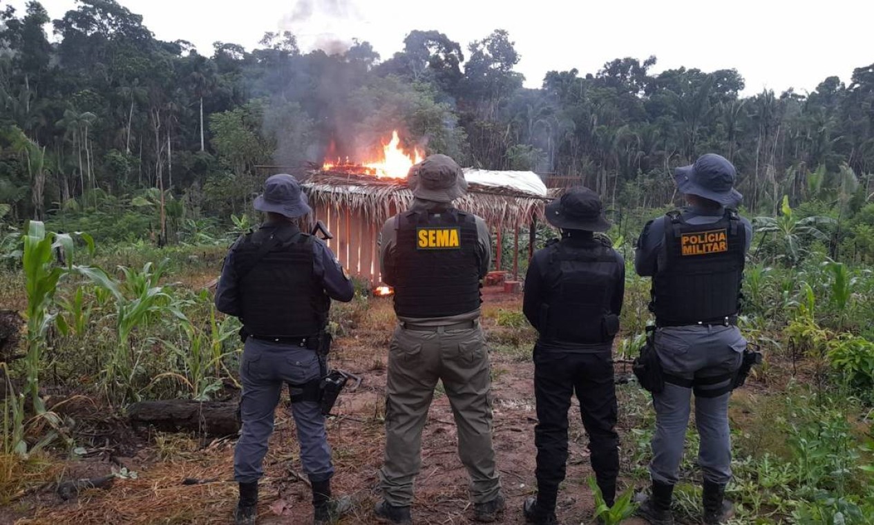 Fiscais e policiais militares dão apoio à operação dentro de unidade de conservação em Mato Grosso Foto: Divulgação