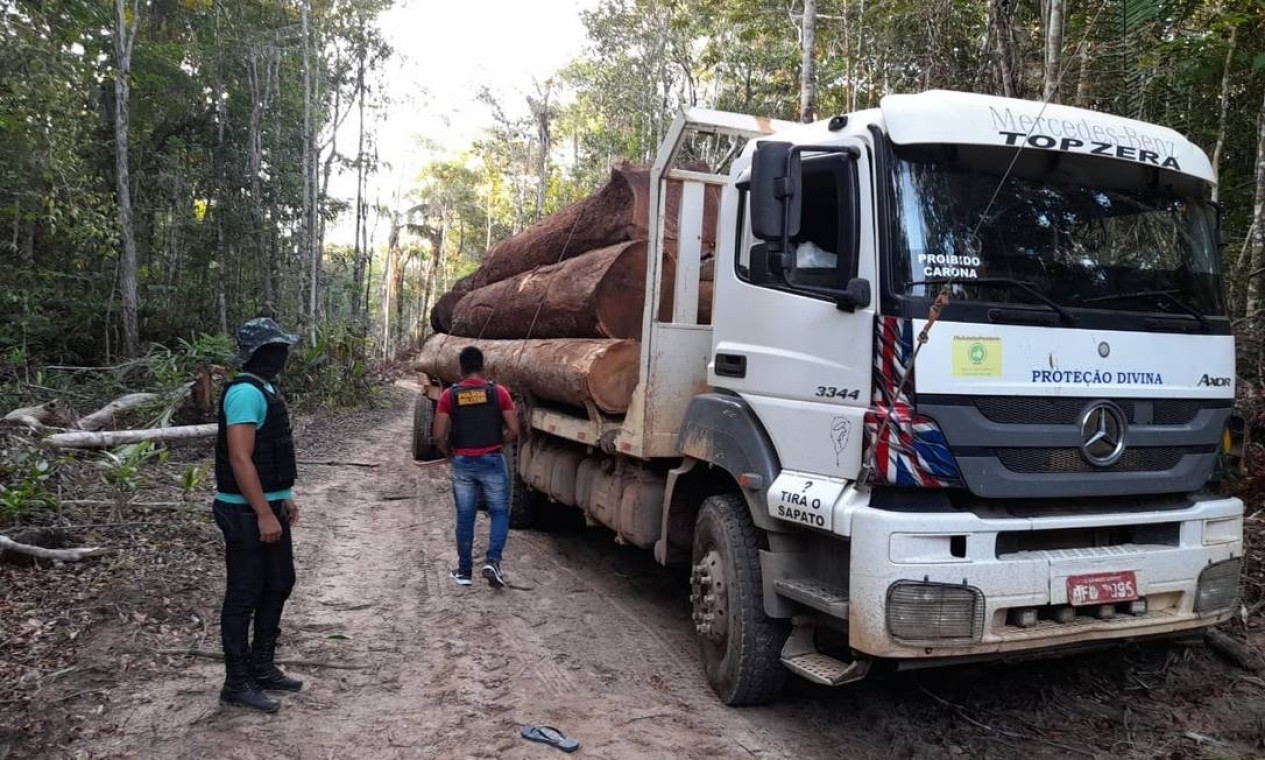 Todos os dias e noites saem caminhões lotados de madeira derruba das unidades de conservação em MT Foto: Divulgação