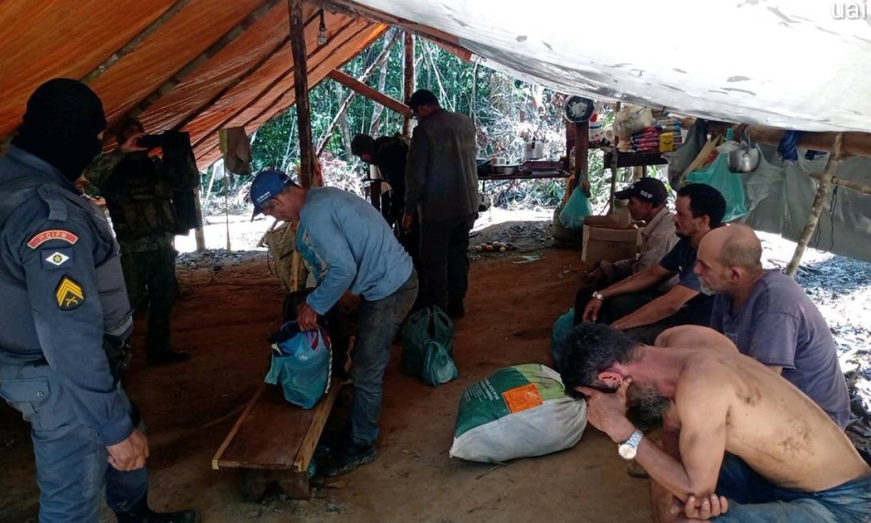 Desmatadores presos em flagrante durante operação na reserva Guariba-Roosevelt. Rotina de crimes Foto: Divulgação