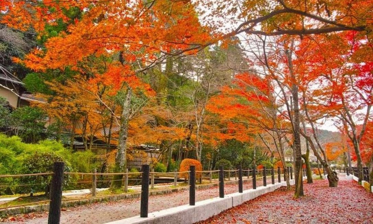 Kyoto, Japão. Localizada na rua Tetsugaku No Michi Foto: Reprodução