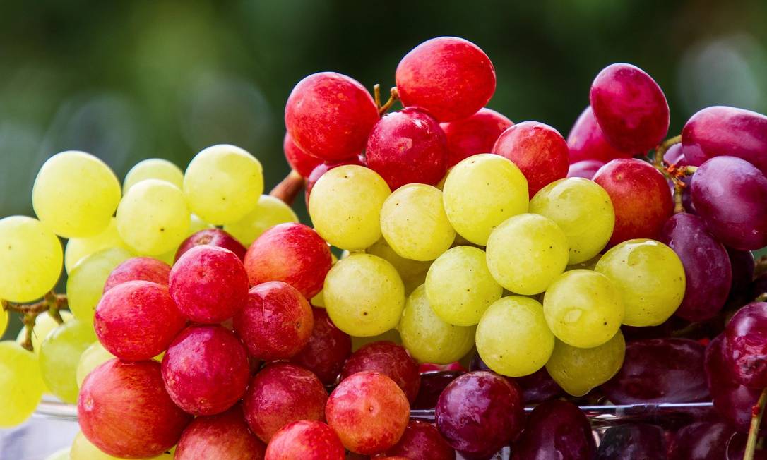 Um dos polifenois presentes na semente de uva é a proantocianidina, responsável por dar às plantas sua cor vermelha, azul ou roxa. Foto: Reprodução / Pixabay