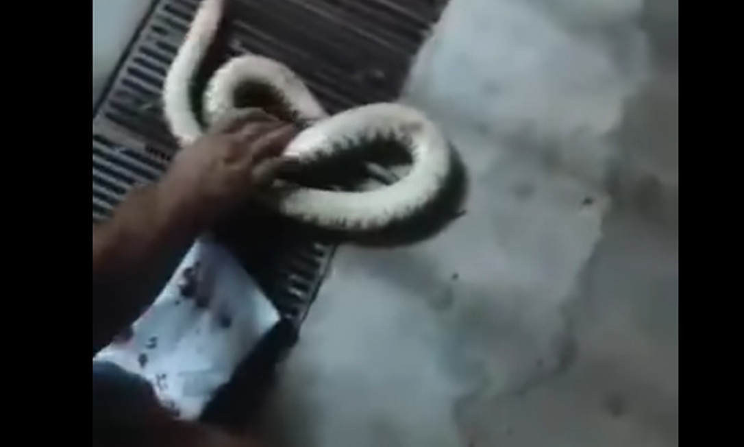 Homem picado por cobra aguardou atendimento no chão, em frente a hospital no DF Foto: Reprodução Redes Sociais