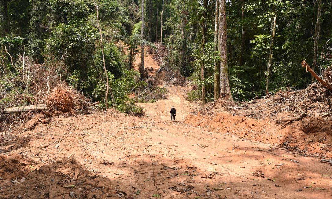 Área devastada em Pacajá, no Sudoeste do Pará; foram mais de 53,3 mil hectares desmatados em todo o estado no ano passado Foto: EVARISTO SA / AFP (22/09/21)