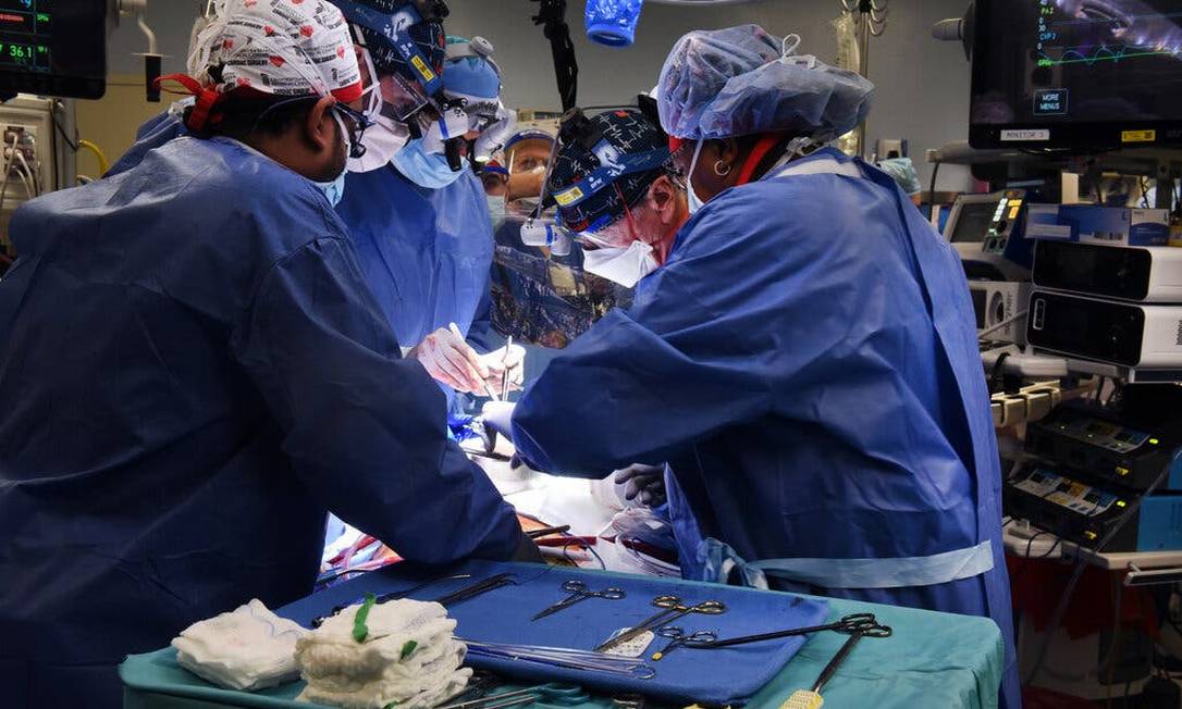 Transplante inédito de porco: paciente morre dois meses após procedimento