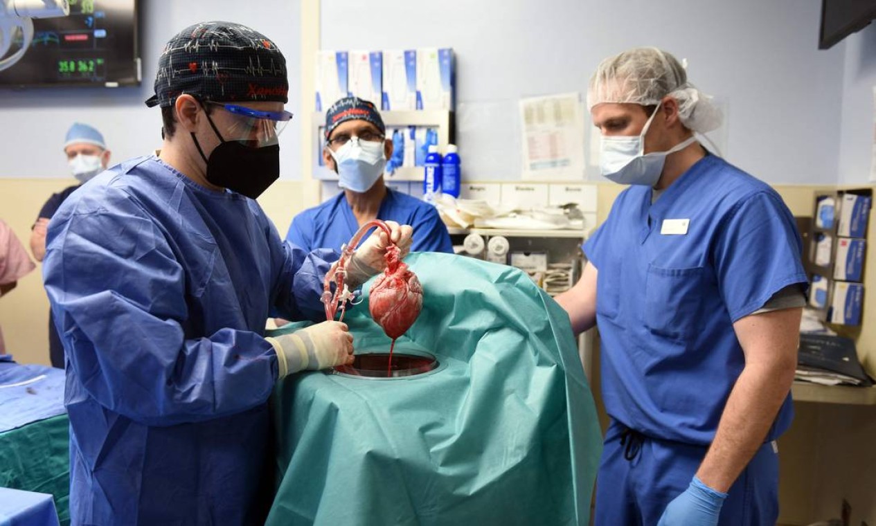 Nos EUA, médicos realizam transplante de coração de um porco geneticamente modificado para um paciente humano, procedimento inédito no mundo Foto: AFP