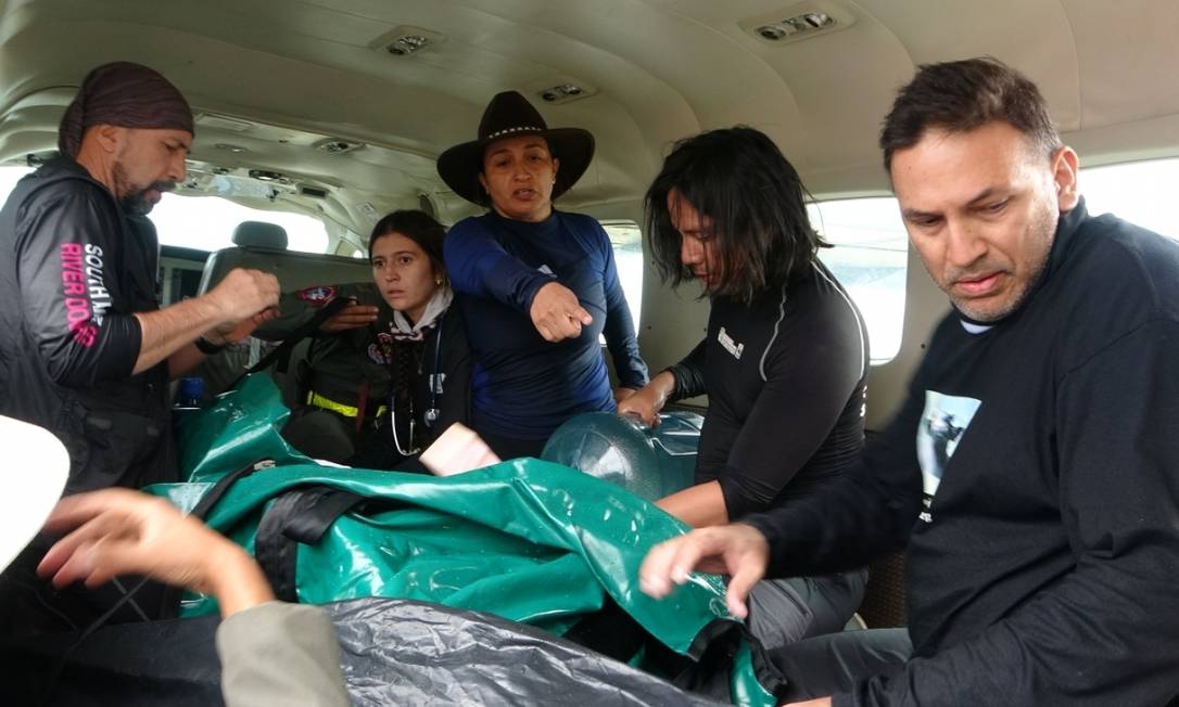 Aeronave precisou ser adaptada pra o transporte do boto-rosa Foto: Divulgação