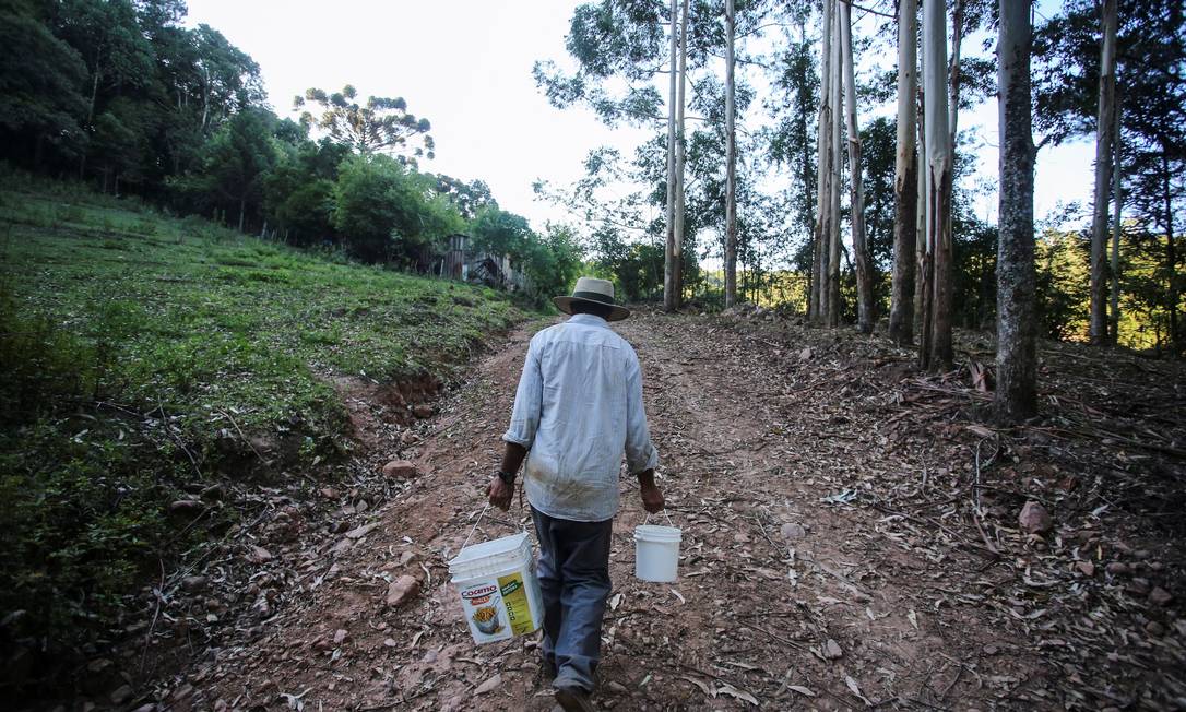 Alceu de Oliveira carrega água para alimentar suas cabras enquanto sua fazenda é afetada pela seca, em Passa Sete, Rio Grande do Sul, 11 de janeiro de 2022. Foto tirada em 11 de janeiro de 2022. REUTERS/Diego Vara Foto: DIEGO VARA / REUTERS