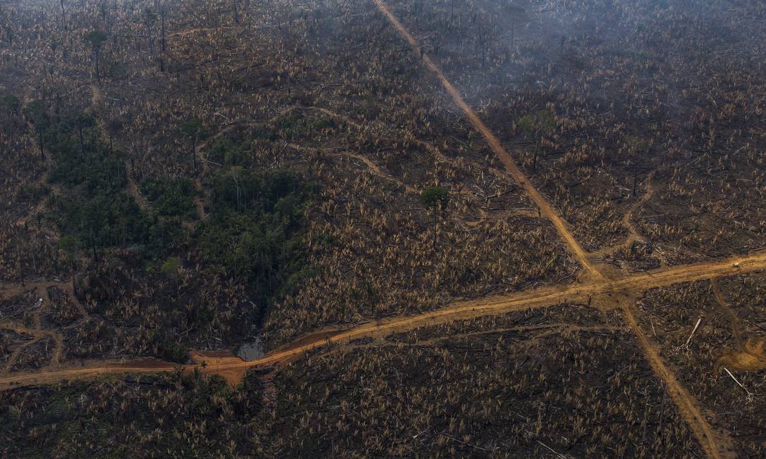 Porto Velho ( RO ) 17/09/2021 Desmatamento e queimadas na Floresta Amazonica . Foto: Edilson Dantas / Agencia O Globo Foto: Edilson Dantas / Agência O Globo