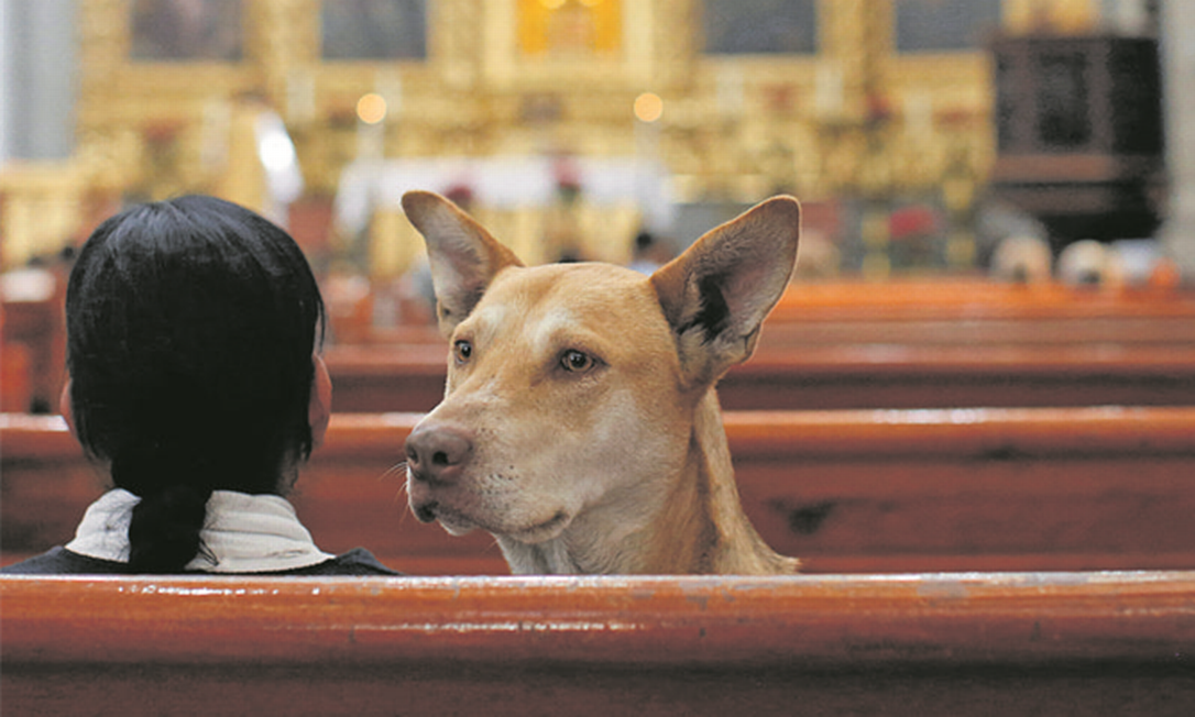 Na cidade do México, menina leva seu cão a uma igreja para receber a bênção de Santo Antônio, padroeiro dos animais domésticos Foto: GUSTAVO GRAF MALDONADO / REUTERS