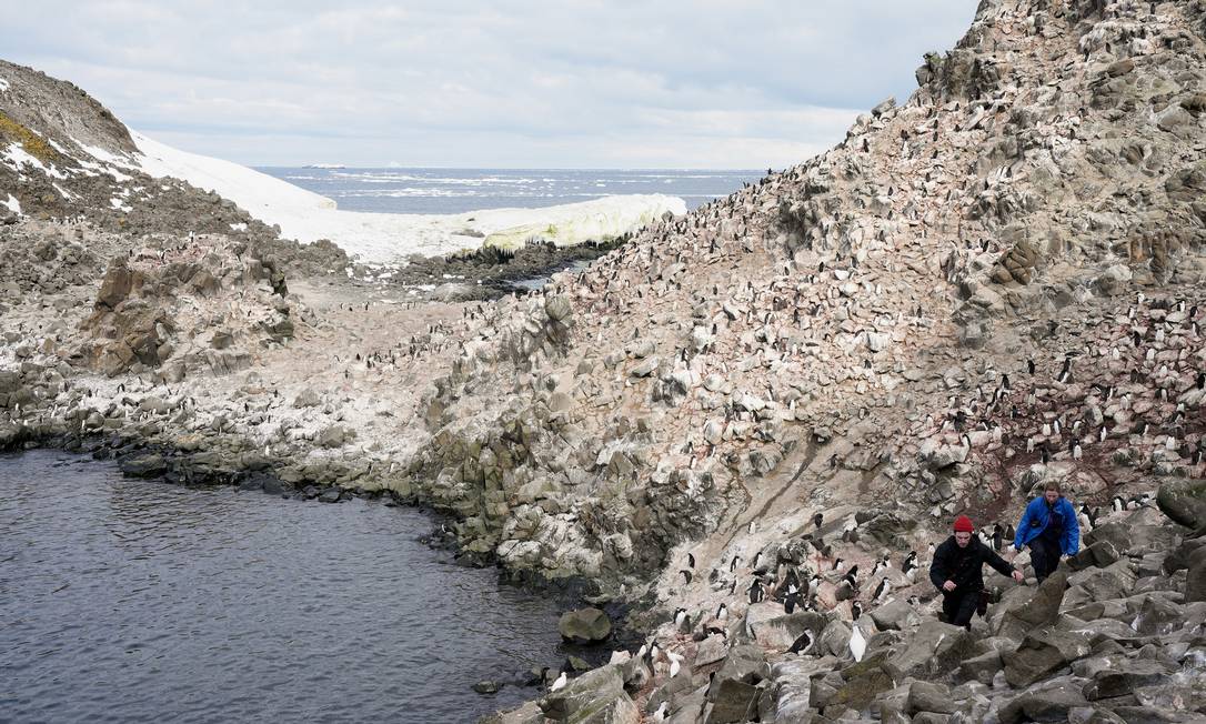 Apocalipse evitável. Cientistas investigam efeitos da mudança climática numa colônia de pinguins na Antártica
Foto: NATALIE THOMAS / REUTERS/16-01-2022