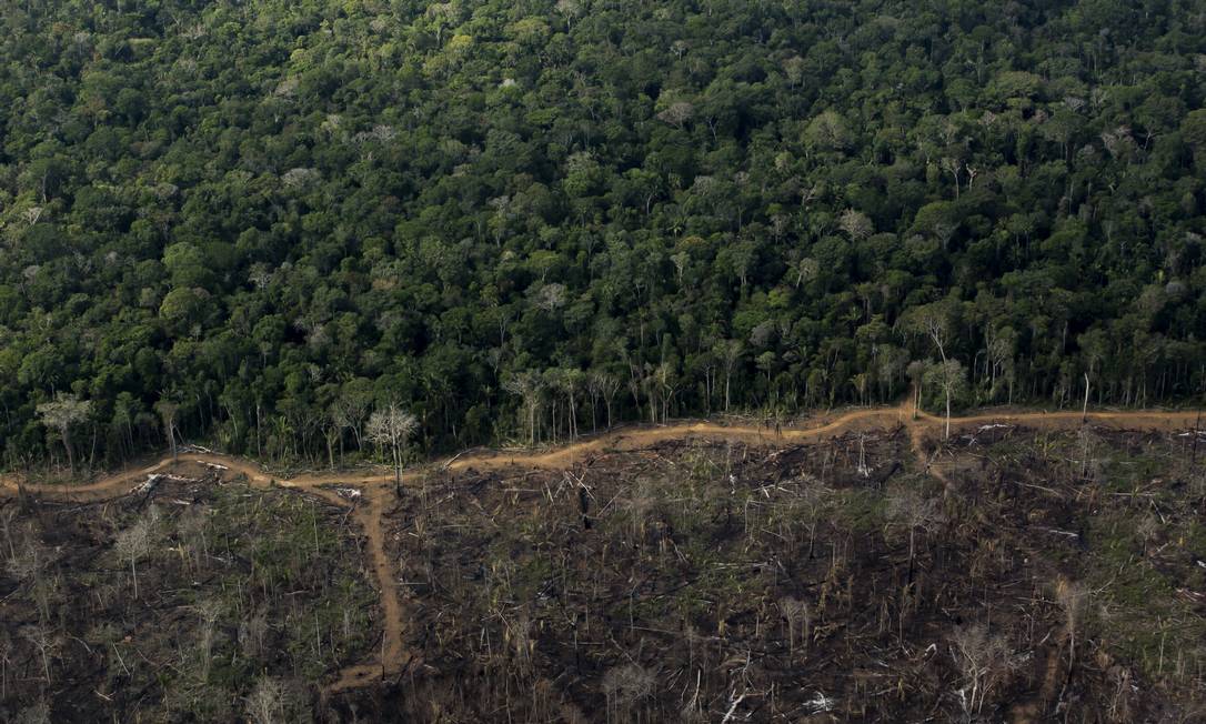 Desmatamento e queimadas na Floresta Amazonica Foto: Edilson Dantas / Agência O Globo