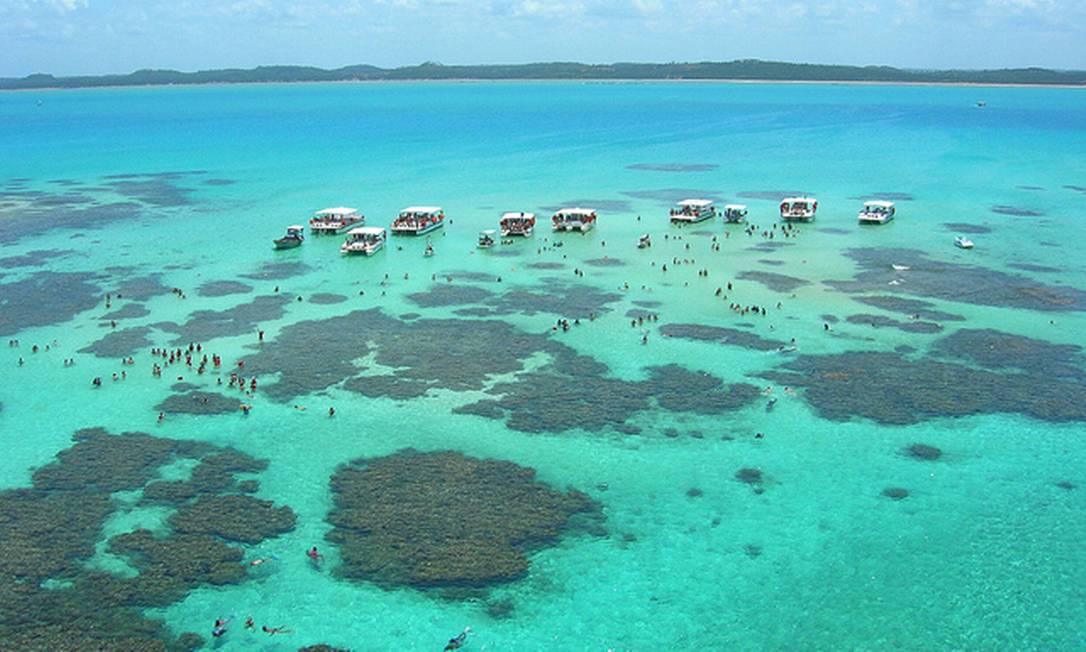 Piscinas naturais de Maragogi, na APA Costa dos Corais, no litoral de Alagoas Foto: Wikimedia Commons / Reprodução