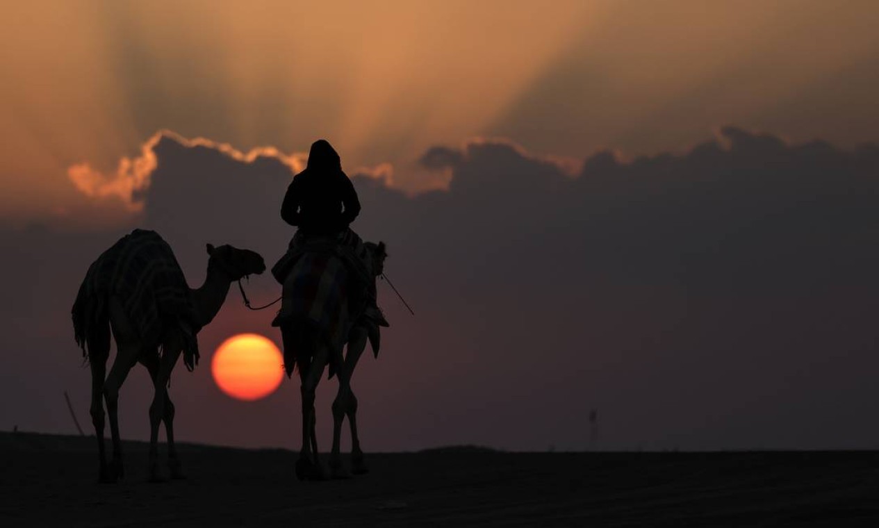 Homens caminham com seus camelos ao nascer do sol durante um festival de camelos no deserto, perto da cidade de Madinat Zayed, cerca de 150 km a oeste da capital Abu Dhabi Foto: KARIM SAHIB / AFP