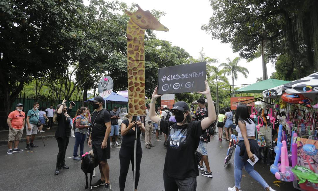 RI Rio de Janeiro (RJ)30/01/2022 Protesto no Bio Parque do Rio pela morte de girafas Foto Domingos Peixoto / agência o Globo Foto: Domingos Peixoto / Agência O Globo