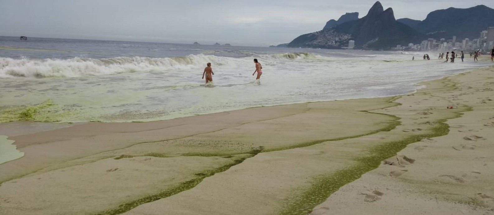 Algas mudam a coloração da água no Rio Foto: Domingos Peixoto/Agência O Globo