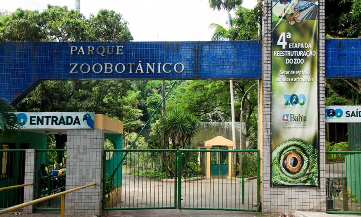 O Zoobotânico de Salvador, na Bahia, é considerado um centro de referência na preservação dos animais silvestres ameaçados de extinção e pertencentes à fauna brasileira Foto: Divulgação / Zoobotânico