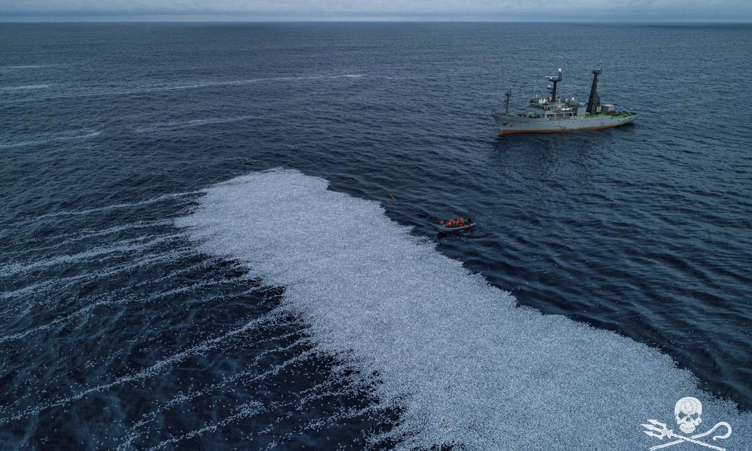 FV Margiris derramou 100 mil peixes mortos no mar, na França Foto: Reprodução/Twitter/ Sea Shepherd