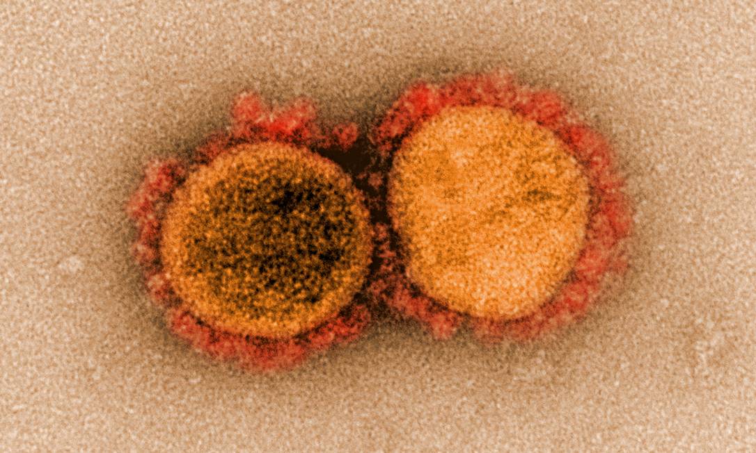 Imagem microscópica do vírus Sars-CoV-2 Foto: NIAID / via REUTERS