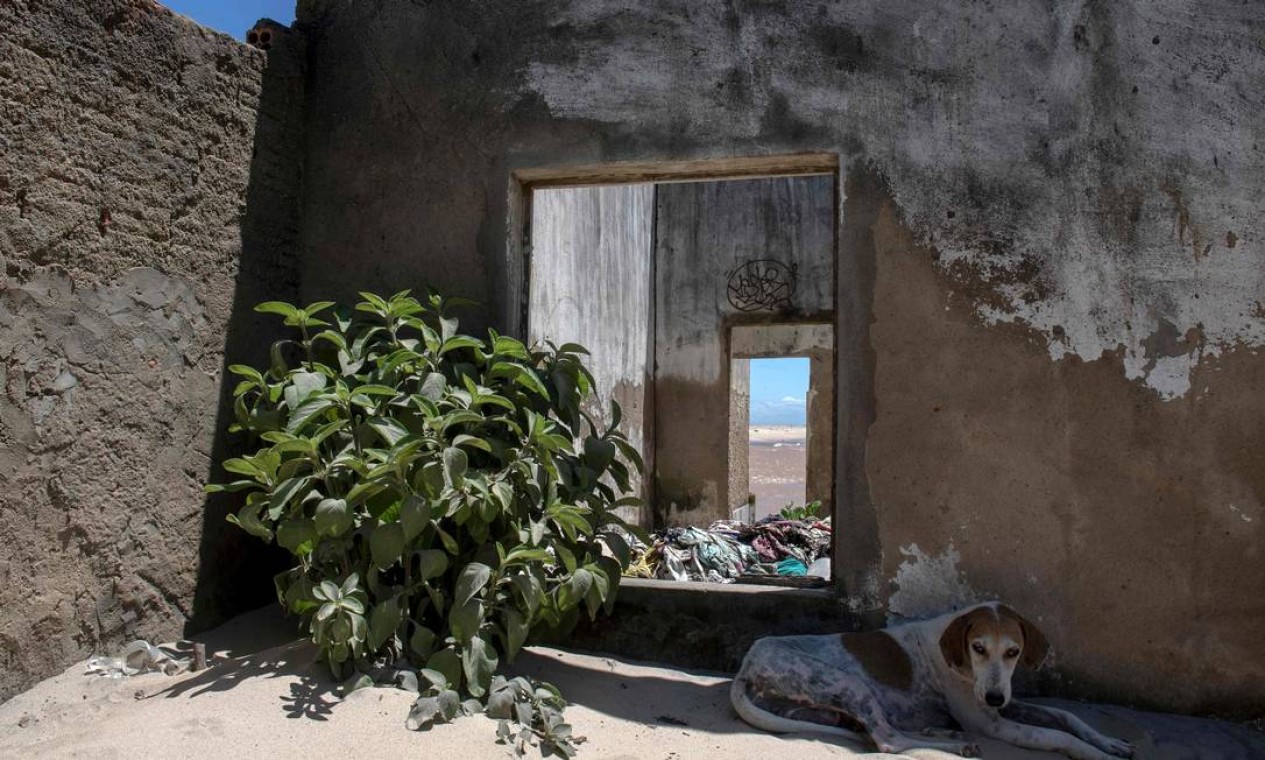 Cachorro descansa nos restos de uma casa engolida pelo oceano na praia de Atafona Foto: MAURO PIMENTEL / AFP
