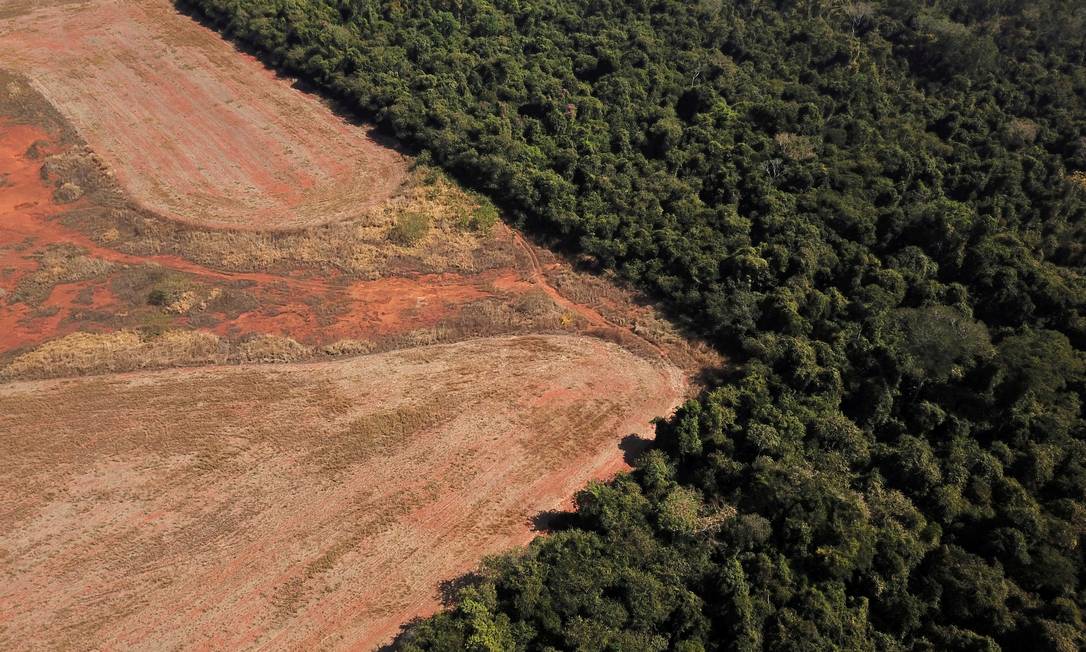 Desmatamento numa região entre a Amazônia e o Cerrado: destruição florestal foi 20% maior em janeiro Foto: Amanda Perobelli / Reuters