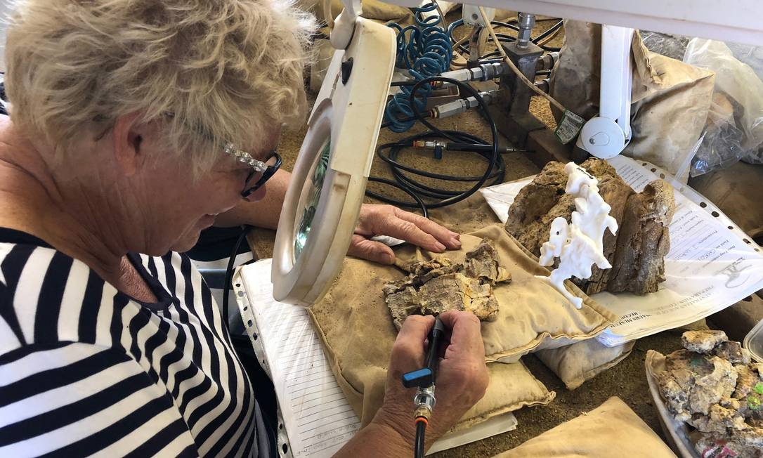 Pesquisadora Judy Chelini cria réplica do crocodilo em 3D para exibição ao público Foto: Museu de História Natural de Winton