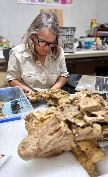 Judy Elliott passou dois anos pesquisando o fóssil de crocodilo Foto: Museu de História Natural de Winton