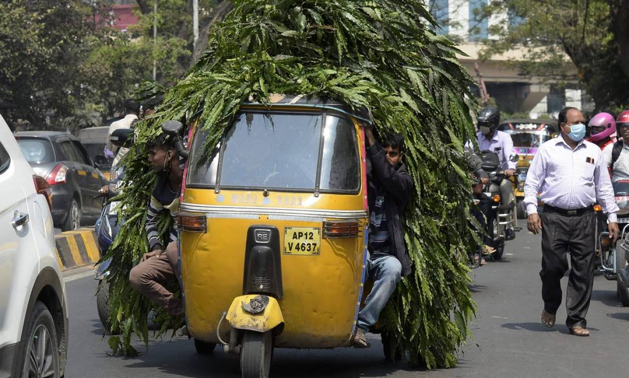 Riquixá carregado de galhos de árvores percorre uma rua em Hyderabad, Índia Foto: NOAH SEELAM / AFP