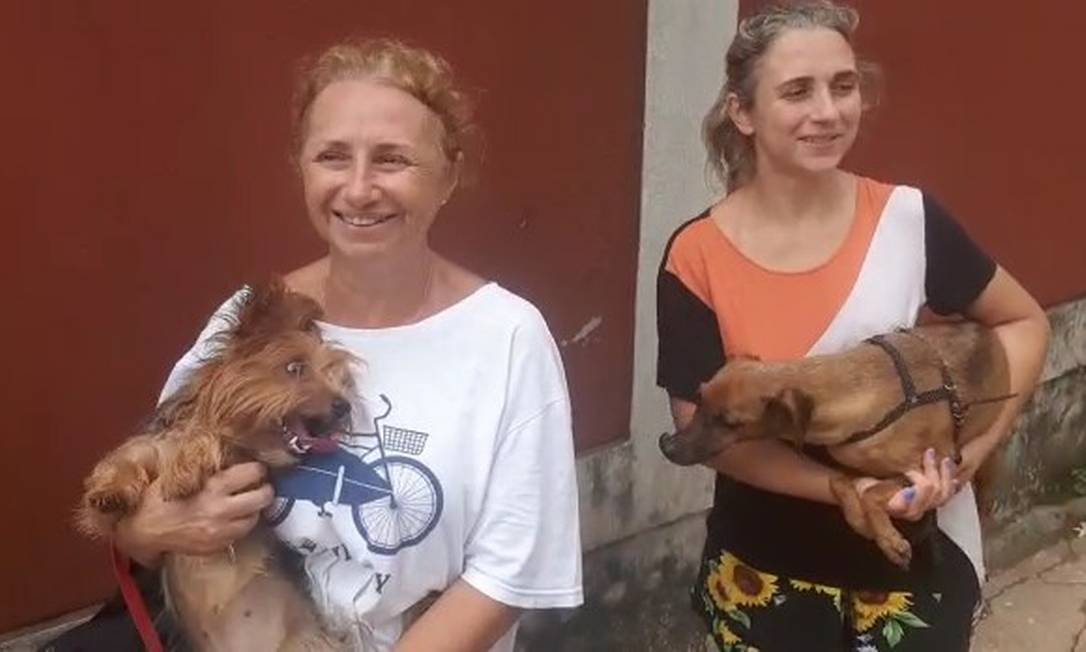 Moradoras de Petrópolis voltam para resgatar cães isolados durante enchente Foto: Flávio Trindade / Agência O Globo