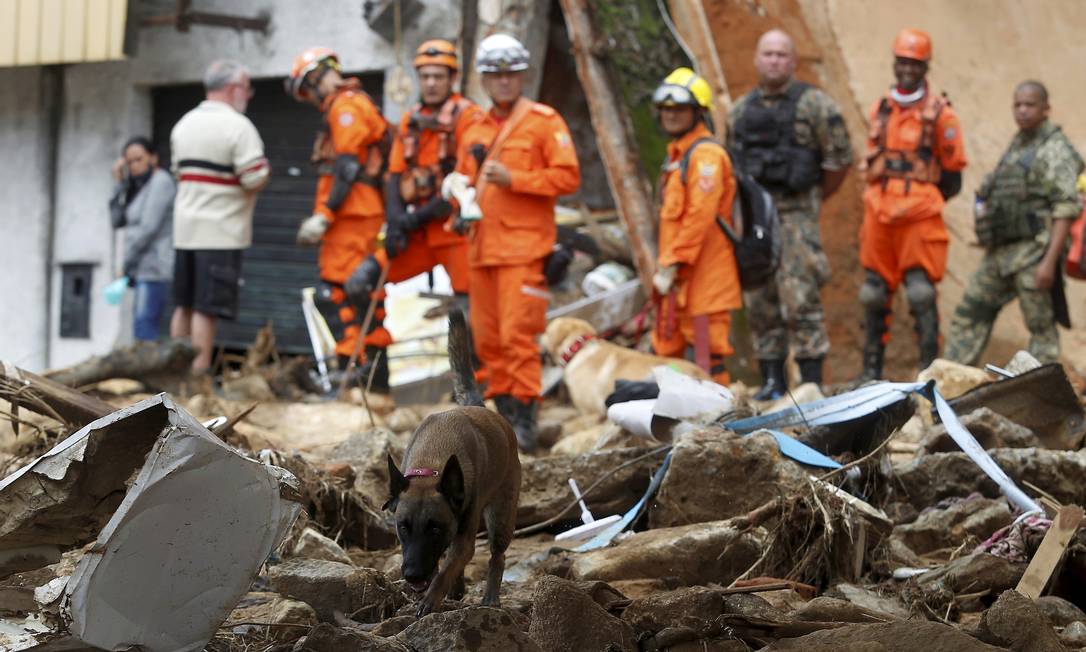 Bombeiros com cães farejadores continuam buscas por pessoas soterradas na Rua Tereza, em Petrópolis Foto: Fabiano Rocha / Agência O Globo