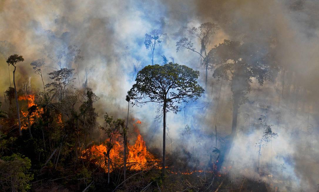 Queimada ilegal na Amazônia 15/08/2020 Foto: CARL DE SOUZA / AFP
