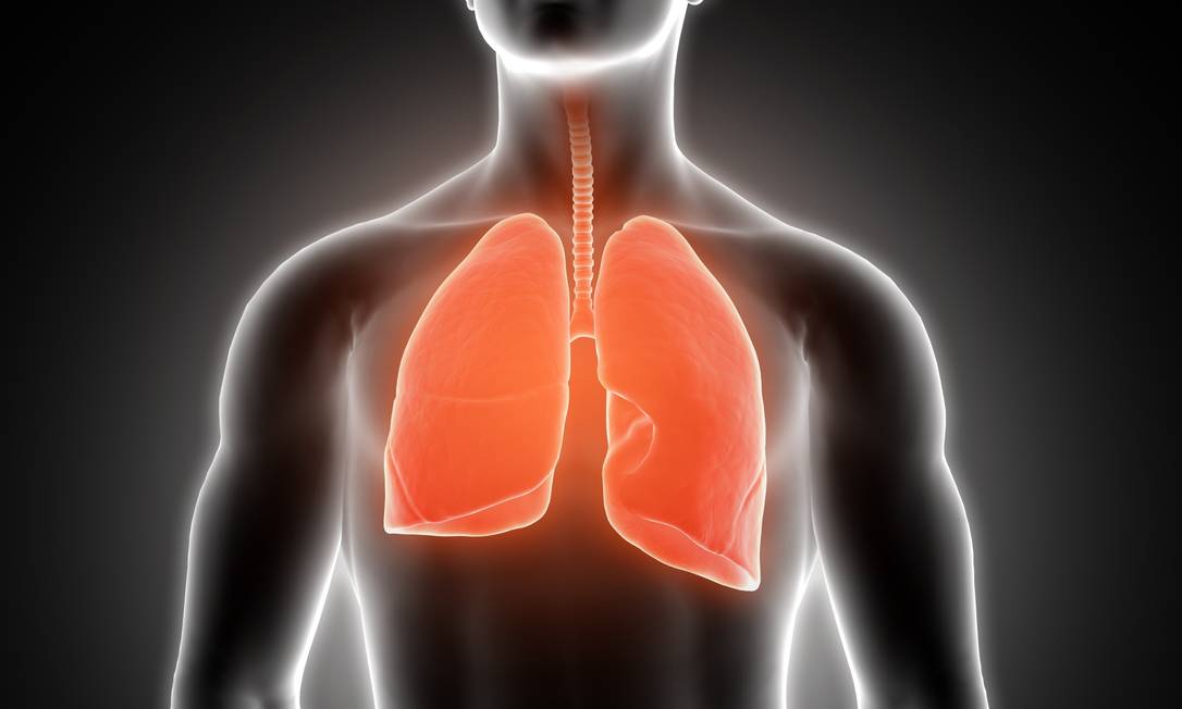 Ilustração de pulmões humanos. Foto: Freepik.com