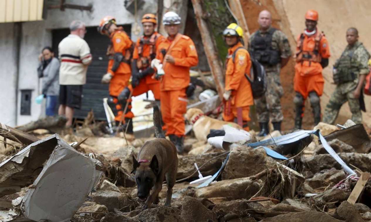 Bombeiros com cães farejadores continuam buscas por pessoas soterradas na Rua Teresa Foto: FABIANO ROCHA / Agência O Globo