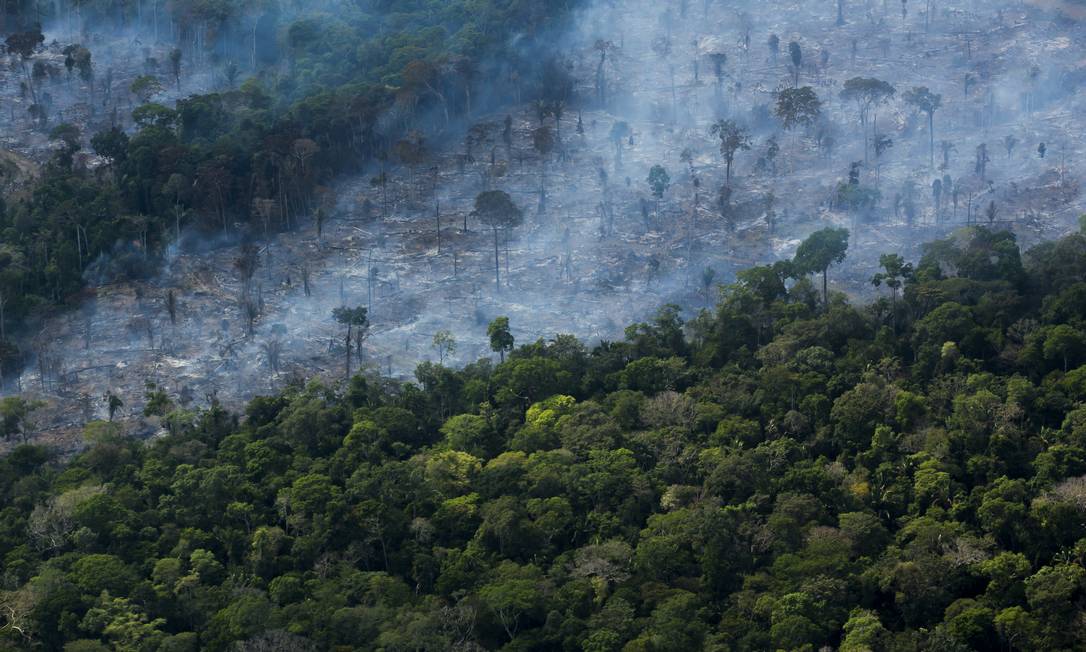 Queimadas na Floresta Amazônica Foto: Edilson Dantas / Agência O Globo