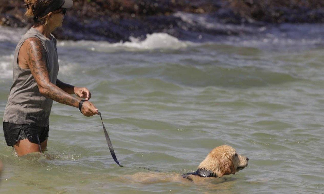No Arpoador, mar manso e não muito frio convidava a um mergulho até mesmo para os pets Foto: Gabriel de Paiva / Agência O Globo