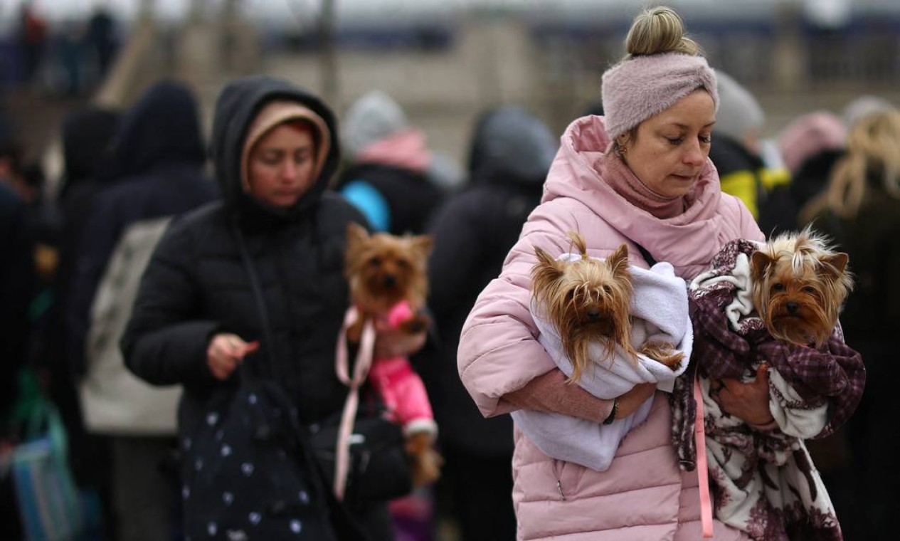 Mulheres fogem da invasão russa da Ucrânia levando seus cães de estimação, na estação de trem em Lviv, Ucrânia, Foto: KAI PFAFFENBACH / REUTERS