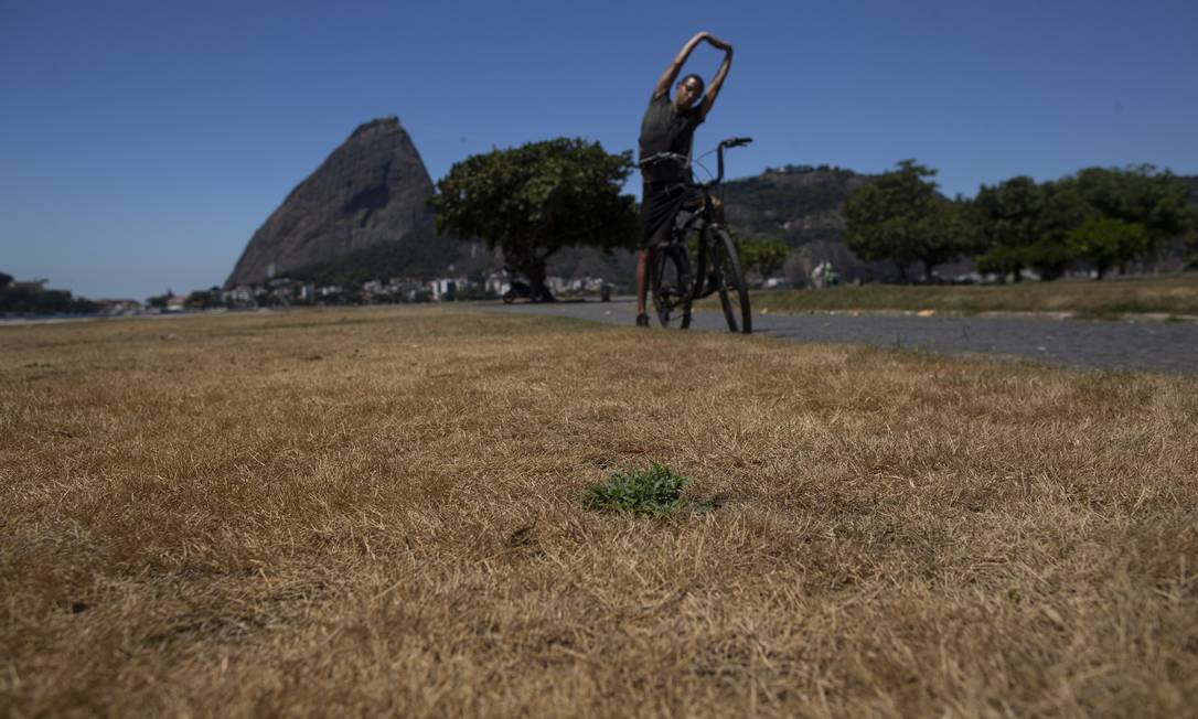 Calor e seca. Falta de chuva no Rio deixa a vegetação seca nos parques da cidade. Na foto, o Aterro do Flamengo. Foto: Marcia Foletto / Agência O Globo