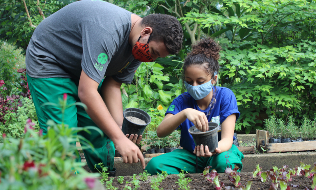 Projeto "Jardinando" com jovens alunos do Centro de Responsabilidade Socioambiental Foto: Divulgação/Jardim Botânico
