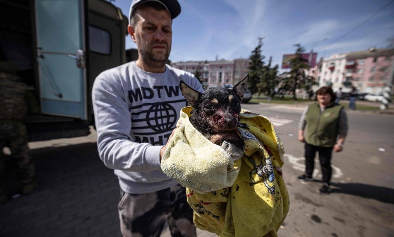 Homem segura cachorro ferido em ataque a estação de trem em Kramatorsk, Ucrânia Foto: FADEL SENNA / AFP
