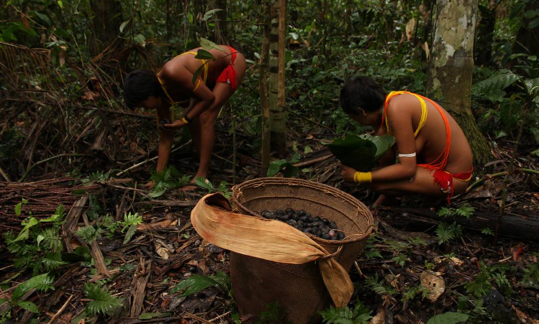 Jovens indígenas são forçados a trabalharem para os garimpeiros, que vendem porções de arroz em troca de algumas gramas de ouro Foto: Arquivo Pessoal