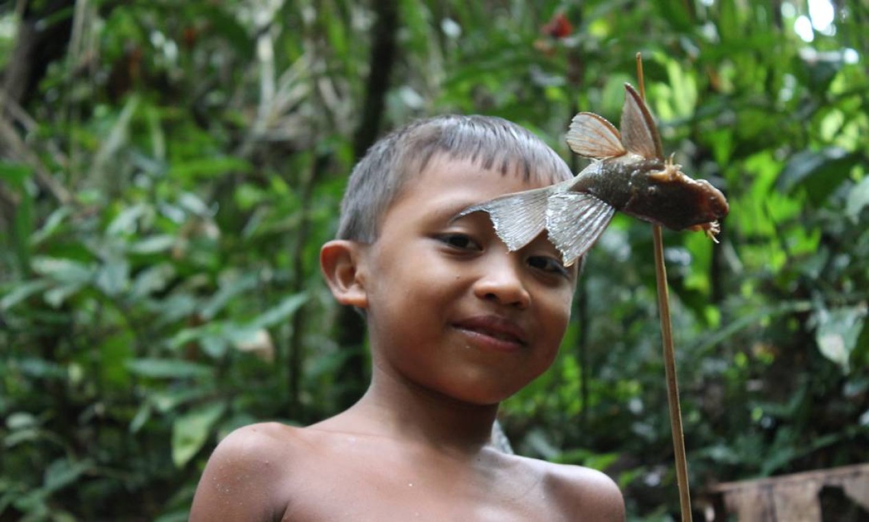 Criança indígena na região de Demini Foto: Arquivo Pessoal
