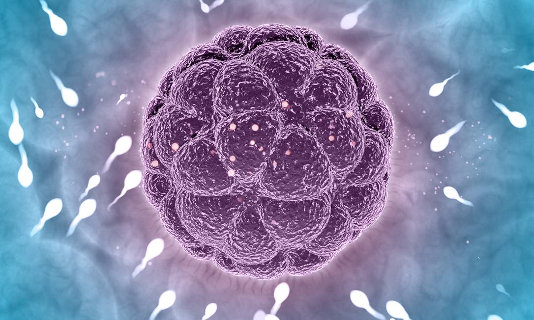 Cientistas da Universidade de Tóquio, no Japão, conseguiram criar espermatozoides funcionais de ratos em laboratório a partir de células tronco. Foto: FreePik
