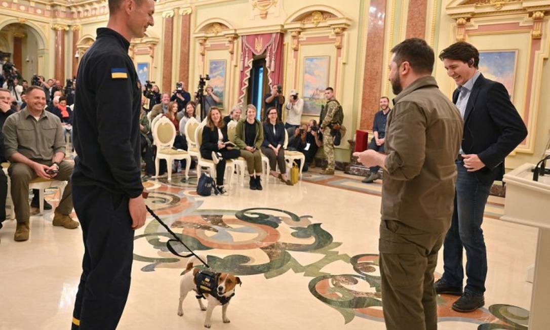 Patron, cachorro que fareja bombas na Guerra da Ucrânia, ganha medalha do presidente Zelensky Foto: UKRAINIAN PRESIDENTIAL PRESS SER / via REUTERS