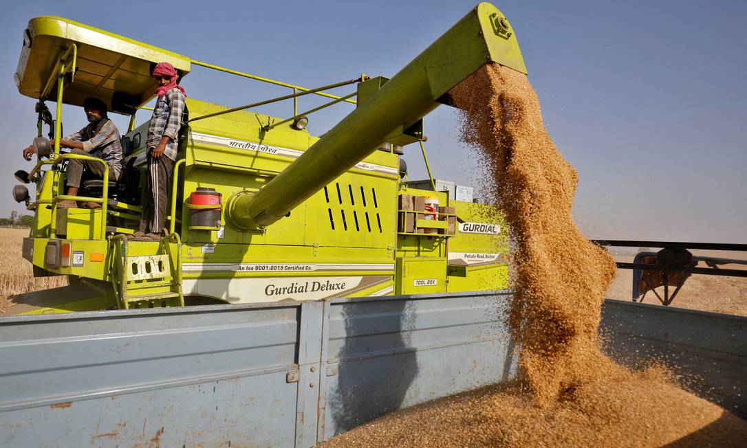 Depósito de trigo em Ahmedabad, Índia: país suspendeu exportação Foto: AMIT DAVE/REUTERS/16-03-2022