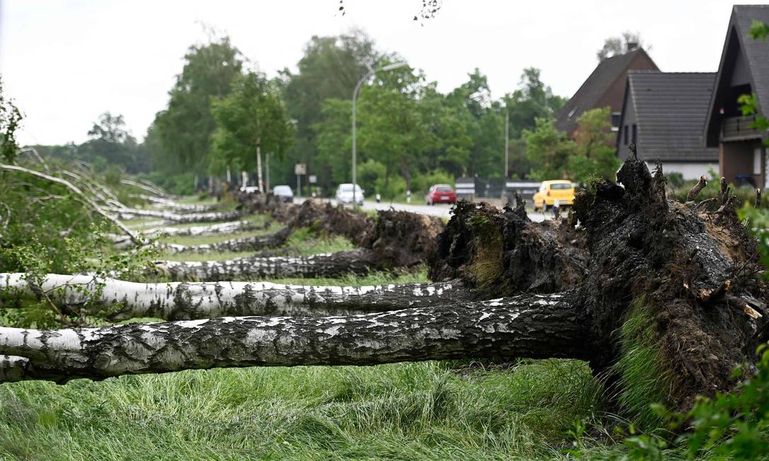 Tempestada derrubou &aacute;rvores na Alemanha Foto: INA FASSBENDER / AFP