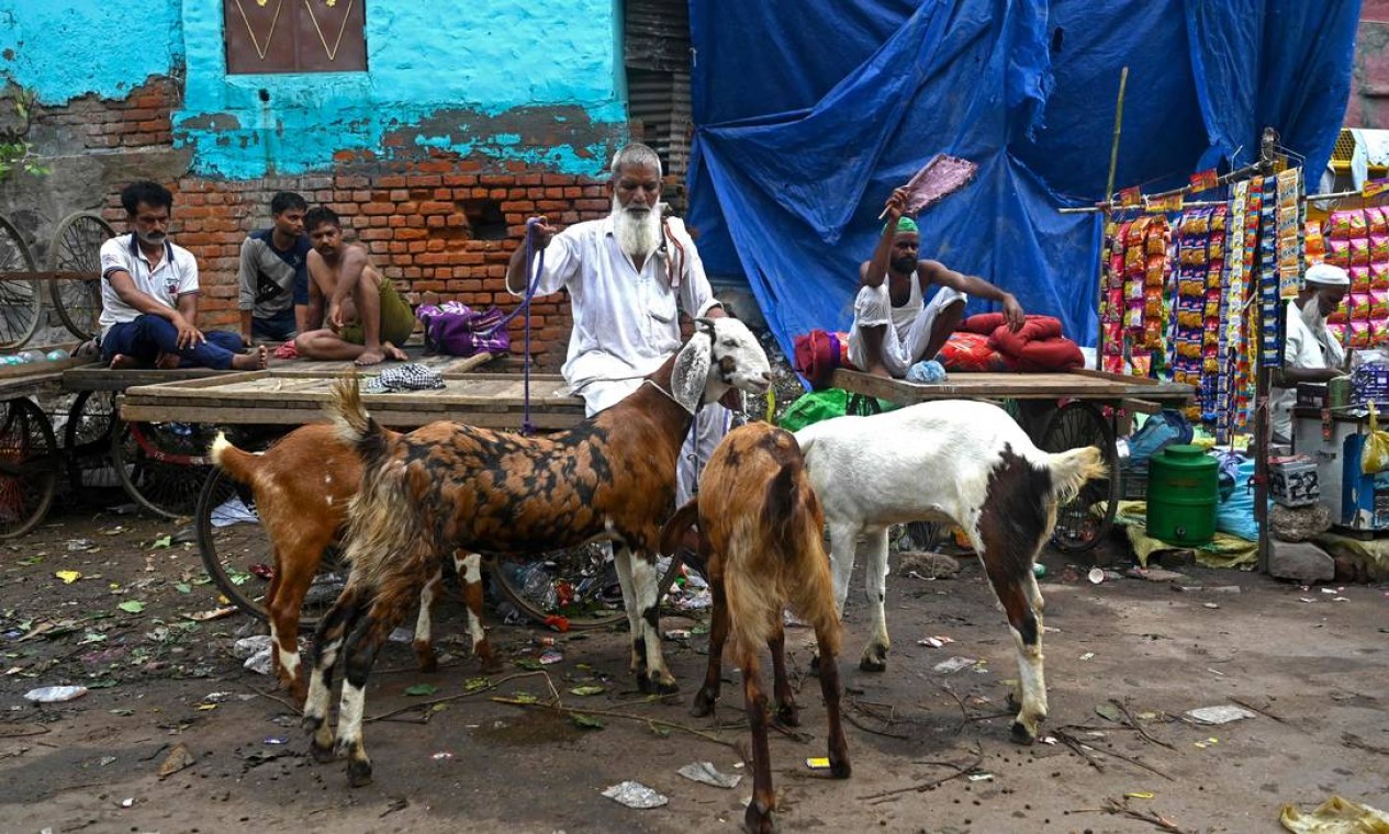 Vendedor de gado espera clientes na beira da estrada para vender suas cabras antes do festival muçulmano de Eid al-Adha, nos bairros antigos de Nova Délhi, Índia Foto: MONEY SHARMA / AFP