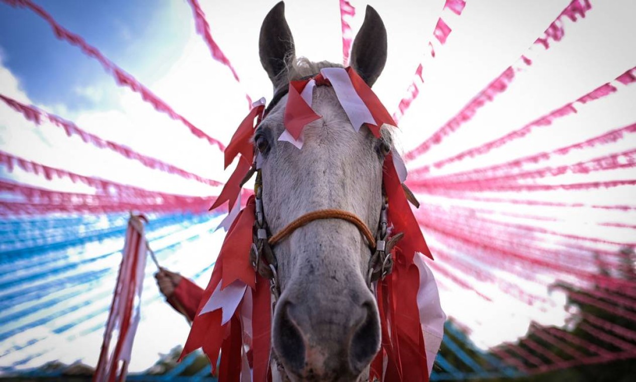 Um cavalo é visto durante a Cavalgada de Amarantina durante o festival De São Gonçalo, em Amarantina, Brasil. Foto: DOUGLAS MAGNO / AFP