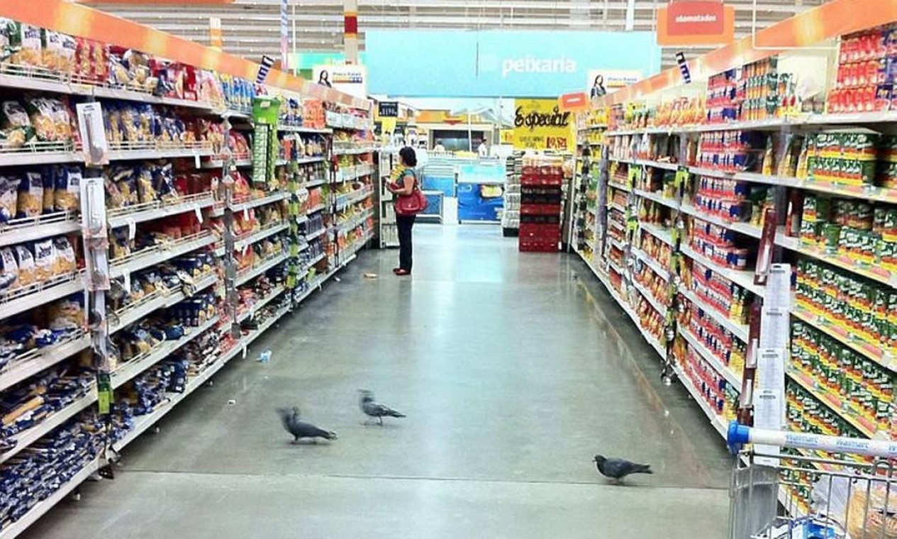 Pombos circulam próximo a alimentos em supermercado Walmart na Zona Norte  do Rio - Jornal O Globo