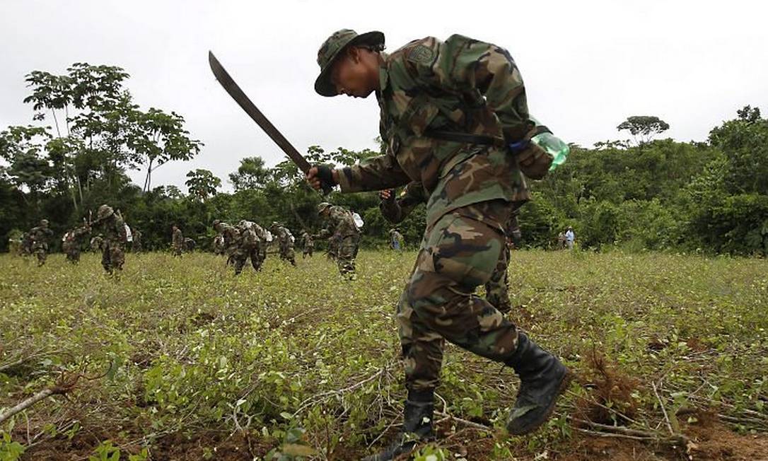 Policiais força antinarcóticos peruana patrulham um campo de coca do Vale do Alto Huallaga, dentro do projeto de erradicação de plantações ilegais no país AFP
